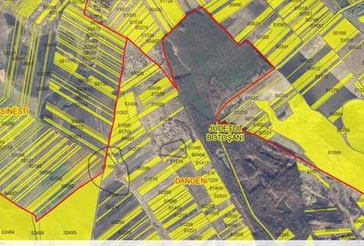 Teren de 46500 mp, în Dângeni - 1