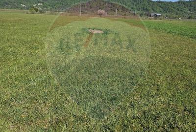 Teren de 1780 mp, în Bocicoiu Mare - 4