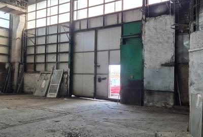 Spațiu industrial, de 30,000 mp, în Sud - 3