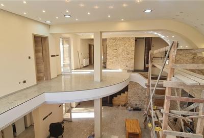 Casă cu 7 camere cu Teren 559 Mp în Elisabetin - 11