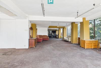 Spațiu comercial, de 343 mp, în Aradului - 6