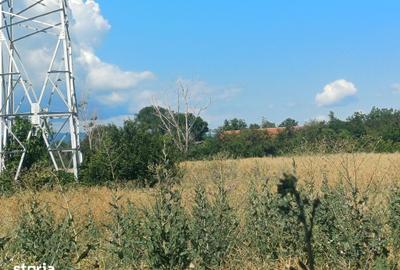Teren de 5000 mp, în Industrială