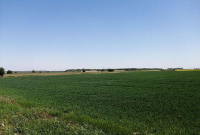 Teren agricol intravilan de 5114 mp, în 1 Decembrie - 1