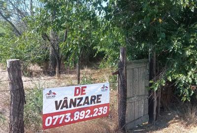 Casă cu 3 camere în Cilibia - 4