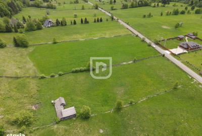 Spațiu comercial, în Pleșa - 3