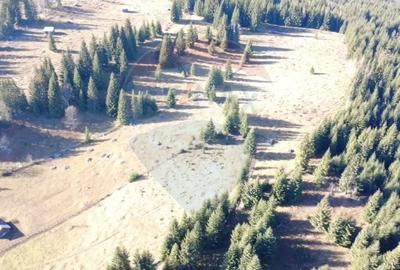 Teren agricol extravilan de 16289 mp, în Coverca - 4