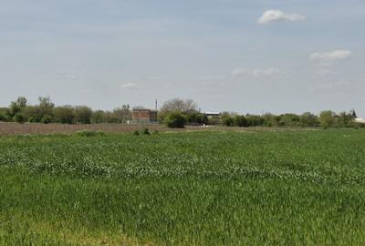 Teren agricol extravilan de 9983 mp, în Berceni - 4