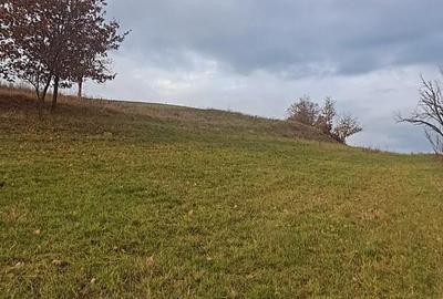 Teren de 3380 mp, în Șoimuș - 6