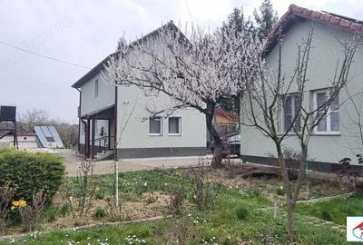 Casă în Viile Satu Mare - 1