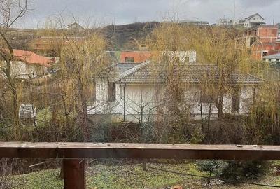 Casă cu 4 camere cu Teren 1200 Mp în Săldăbagiu de Munte - 3