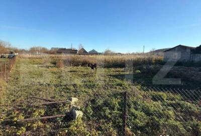 Casă cu 3 camere cu Teren 4900 Mp în Central - 5