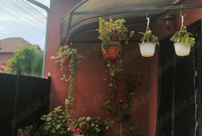 Casă cu 1 camere cu Teren 315 Mp în Ceangăi - 4