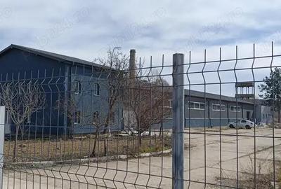 Proprietar inchiriez Hala de productie 670 mp + Birouri 300 mp zona CUG - 1