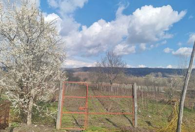 Casă cu 3 camere în Mereșești - 1