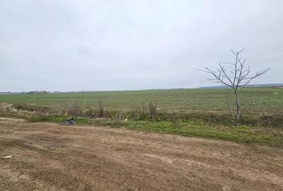 De Vanzare Teren Intravilan 13.630mp, Strada Castanilor Magurele
