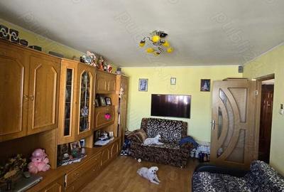 Apartament cu 2 camere decomandat în Lugoj - 5