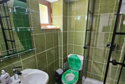 Vila Vetel zona Valea Caoi - 14