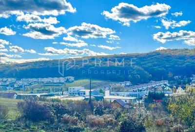 Teren Construcții intravilan de 10000 mp, în Corunca - 1