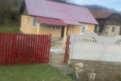 Casă cu 2 camere în Vâlcănești - 3