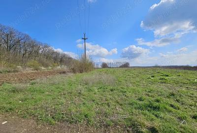 Teren de 2509 mp, în Snagov - 3