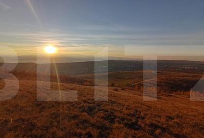 Teren de 8600 mp, în Sălicea - 3