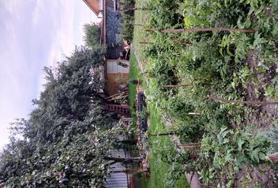 Casa singur in curte - 9