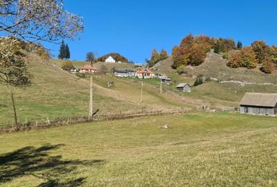 Casă cu 7 camere cu Teren 2000 Mp în Dâmbovicioara - 5