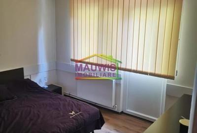 Inchiriez casa, singur in curte in zona Iriceanu - Aparatorii Patriei - 5