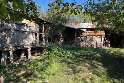 Casă cu 3 camere în Roșiile - 2