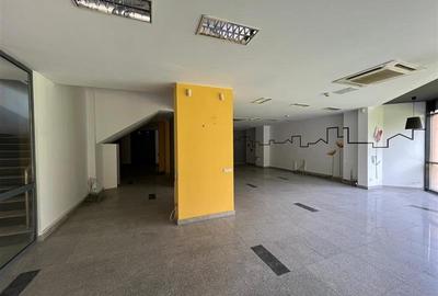 Vanzare Spatiu comercial stradal - Parter si Mezanin - 900 mp - 13