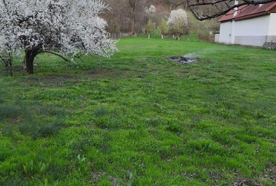 Teren de 3350 mp, în Sâmbotin - 6