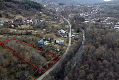 Teren de vanzare in comuna Arefu, Jude? Arge?, in apropiere de Transfagara?an, - 4