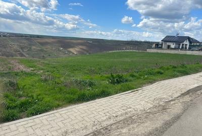 Teren agricol intravilan de 3271 mp, în Valea Lupului - 4