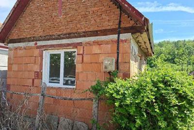 Casă în Cladova - 3