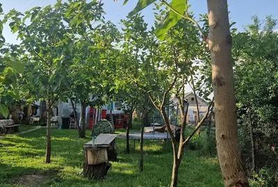 Casă cu 2 camere în Măldăeni - 8