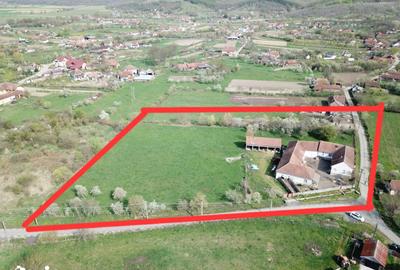 Casă cu 4 camere cu Teren 4330 Mp în Vărădia de Mureș - 2