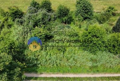 Teren intravilan com. Alexandru cel Bun- Viisoara - 3