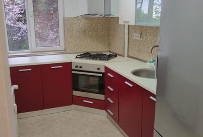 Apartament cu 2 camere semidecomandat în Turda - 5