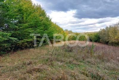 Teren intravilan de vanzare 550m front 21 m utilitati la 120m Cisnadie - 1