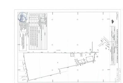 Teren de 4823 mp, în Podari - 1