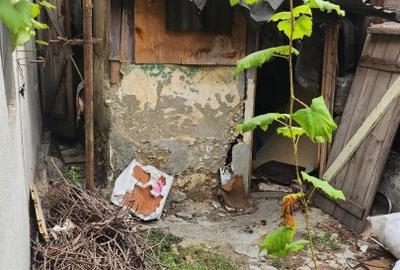 Casă individuală cu 2 camere cu Teren 163 Mp în Brătianu - 3