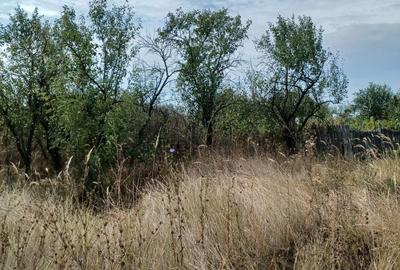 Casă cu 2 camere cu Teren 3000 Mp în Diculești - 7