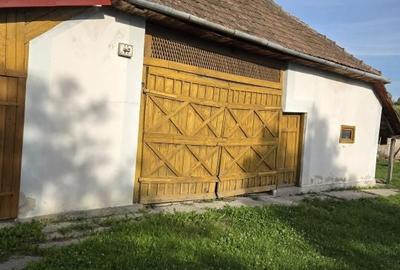 Casă cu 3 camere cu Teren 3600 Mp în Bicaz - 9
