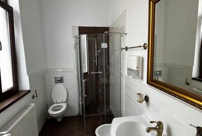 Vila independenta, locuri de parcare, nou renovata ideal pentru birouri sediu - 12