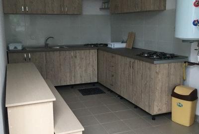 Teren 570 mp + constructie  locuibila + hala-Giulesti-Podul Grant - 9