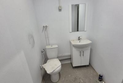 Hale pentru depozitare -acces din centura - in apropiere de A2 - 4