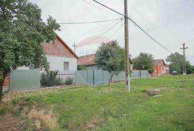Casă cu 3 camere cu Teren 3205 Mp în Sânnicolau Român - 3