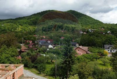 Valea Borcutului,Teren intravilan de vanzare, intre case! Valea Borcutului,Teren intravilan de vanzare, intre case! - 12
