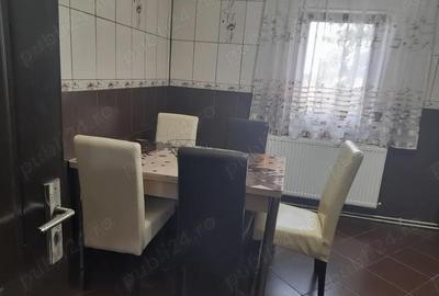 Un apartament minunat cu doua camere, de vanzare in Caransebes - 9