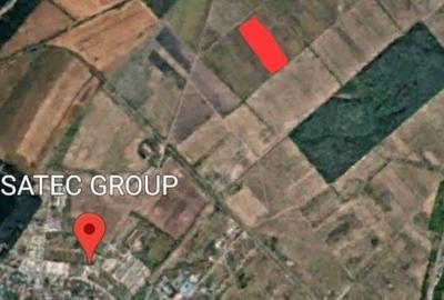 Teren de 12500 mp, în Mogoșoaia - 2